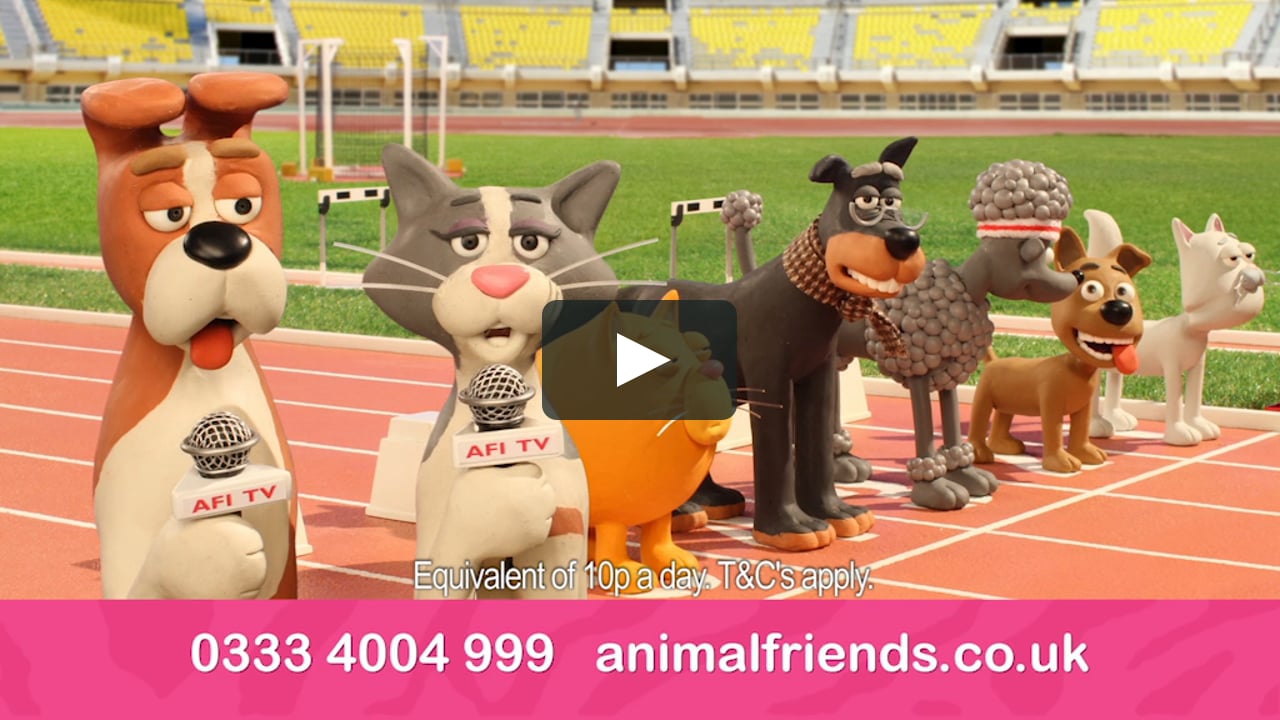 Animal Friends Insurance - The Race on Vimeo