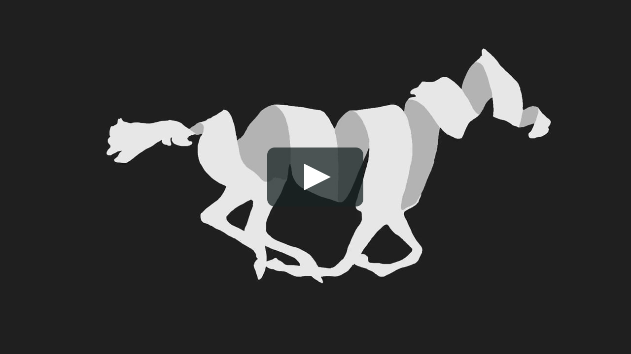 Rotoscoped horse on Vimeo - 2D Animation CMU