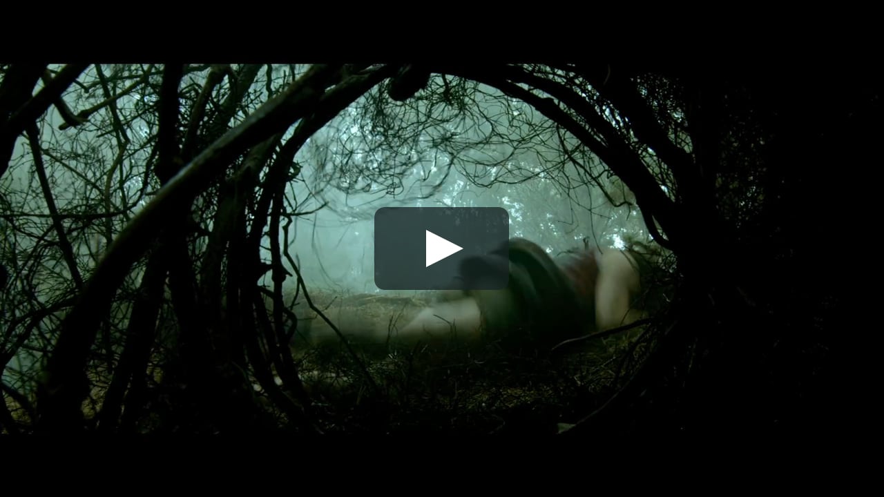 the evil dead 2013 trailer