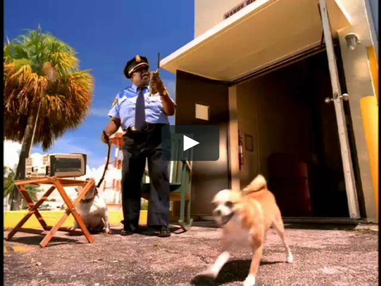 Who let the dogs out baha men. Baha men - who Let the Dogs out. Call the Dogs out the Garden клип. Who Let the Dogs out клип. Песня who Let the Dogs out люди в черном. Who let the dogs out baha men. Baha men - who Let the Dogs out. Call the Dogs out the Garden клип. Who Let the Dogs out клип. Песня who Let the Dogs out люди в черном.