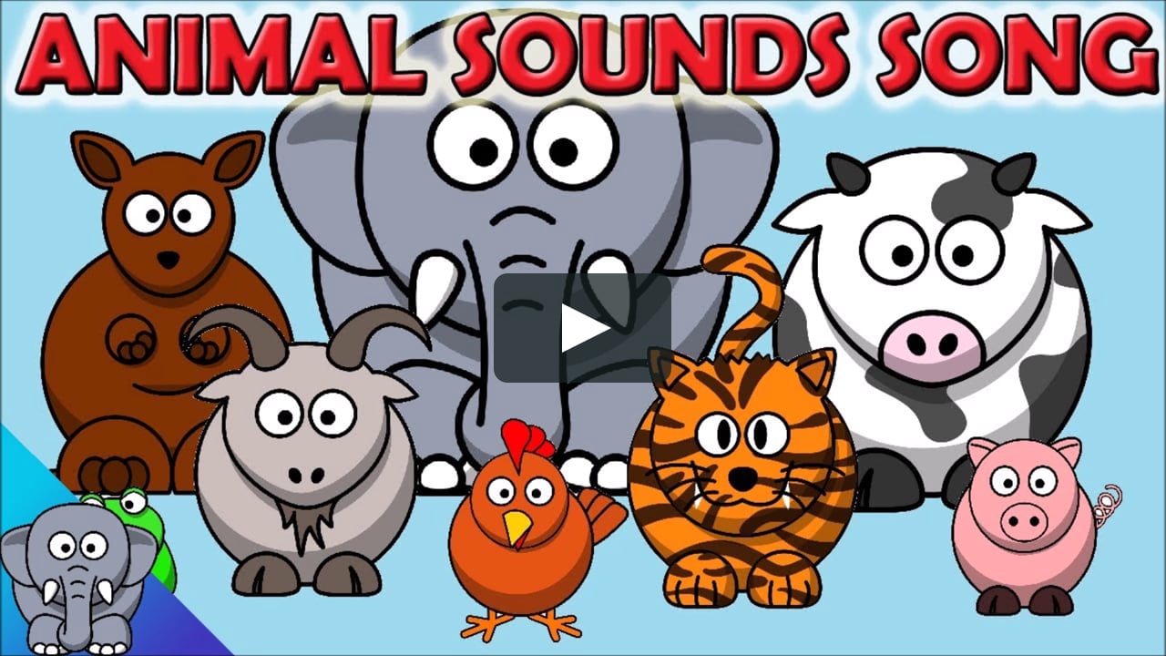 Animals and Sounds Taurons Dofins on Vimeo
