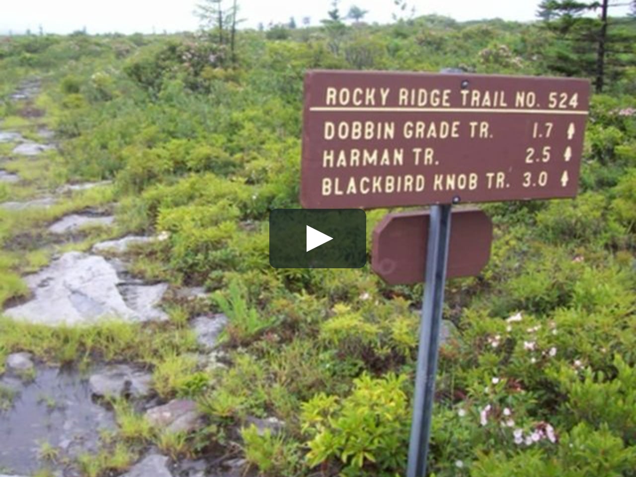 Backpacking Dolly Sods, West Virginia on Vimeo - Overlay?src0=https:%2F%2Fi.vimeocDn.com%2FviDeo%2F59351110 2a5772f1D5D2b1c555077707aa287f1a800423ca3155Df64Da03ebb3D13e929a D 1280x960&src1=https:%2F%2Ff.vimeocDn.com%2Fimages V6%2Fshare%2Fplay Icon Overlay