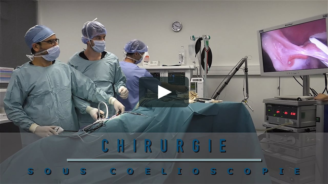 Chv Frégis 1er Hôpital Vétérinaire De France On Vimeo