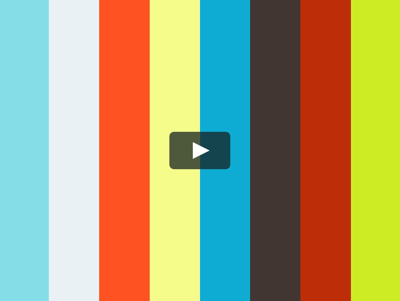 Cats 101 Birman Eng On Vimeo