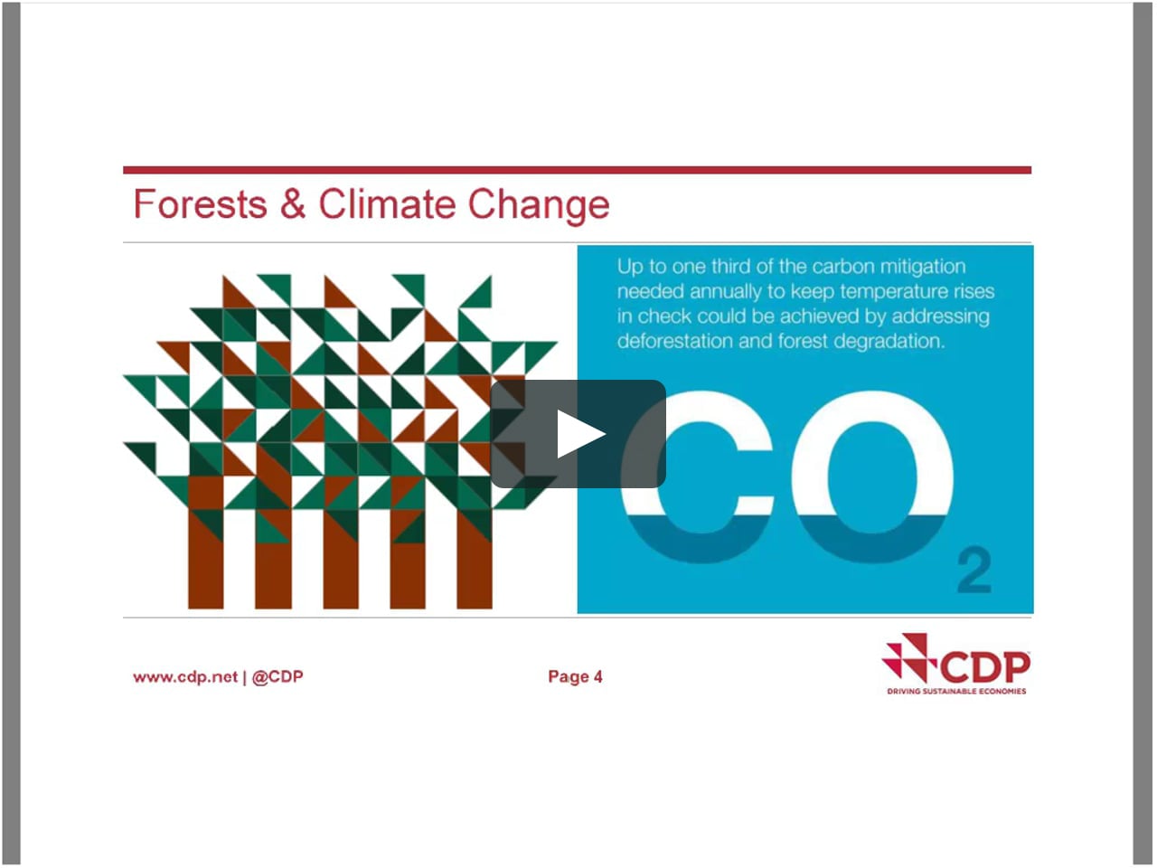 Introduction to CDP forests program on Vimeo