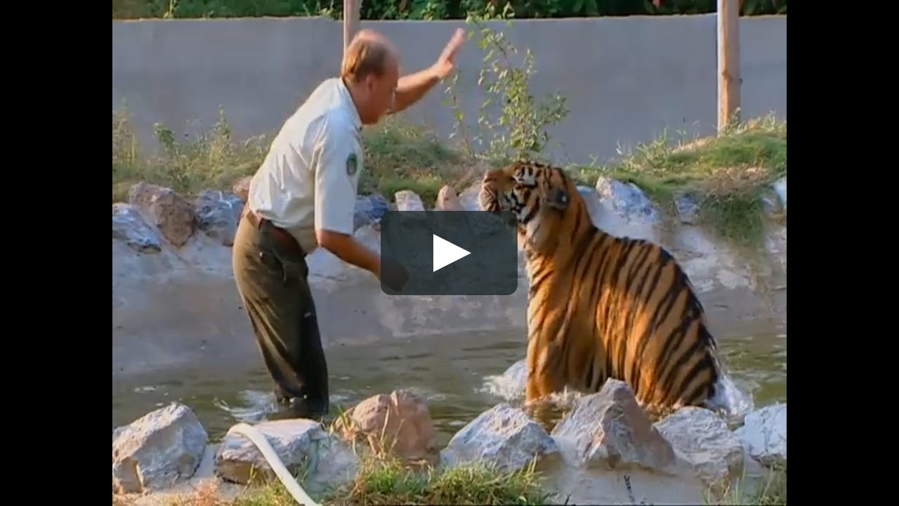 Lyndal's Lifeline (Animal Planet 2004) on Vimeo