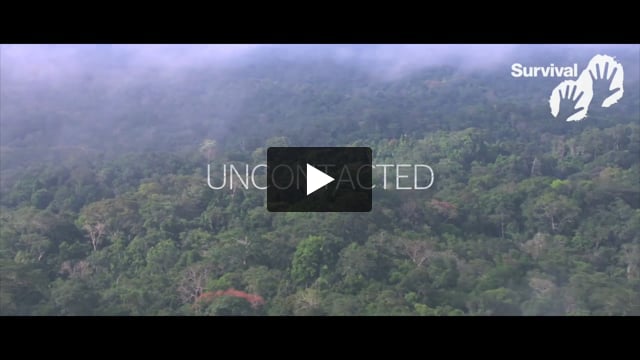 Uncontacted tribes