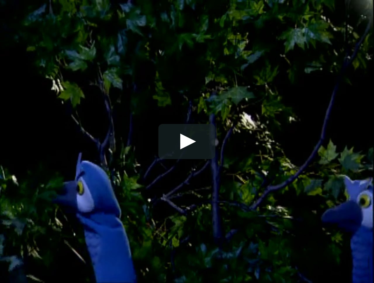 24be Baby Davinci 1 7 14 2017 On Vimeo 24be Baby Davinci 1 7 14 2017 On Vimeo