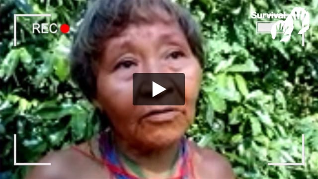 Introducing: Tribal Voice