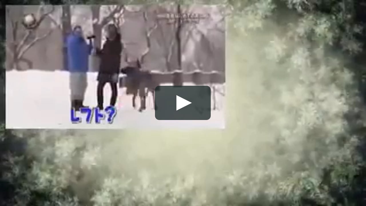 出川はじめてのおつかい 第1弾 ニューヨーク編 On Vimeo 出川はじめてのおつかい 第1弾 ニューヨーク編 On Vimeo