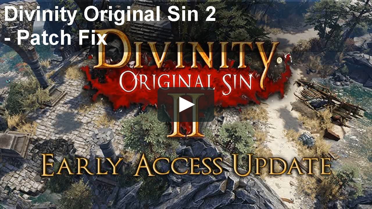 divinity original sin 2 crash to desktop
