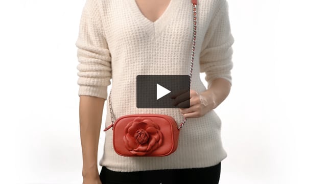 Aristotle - mini rose bag