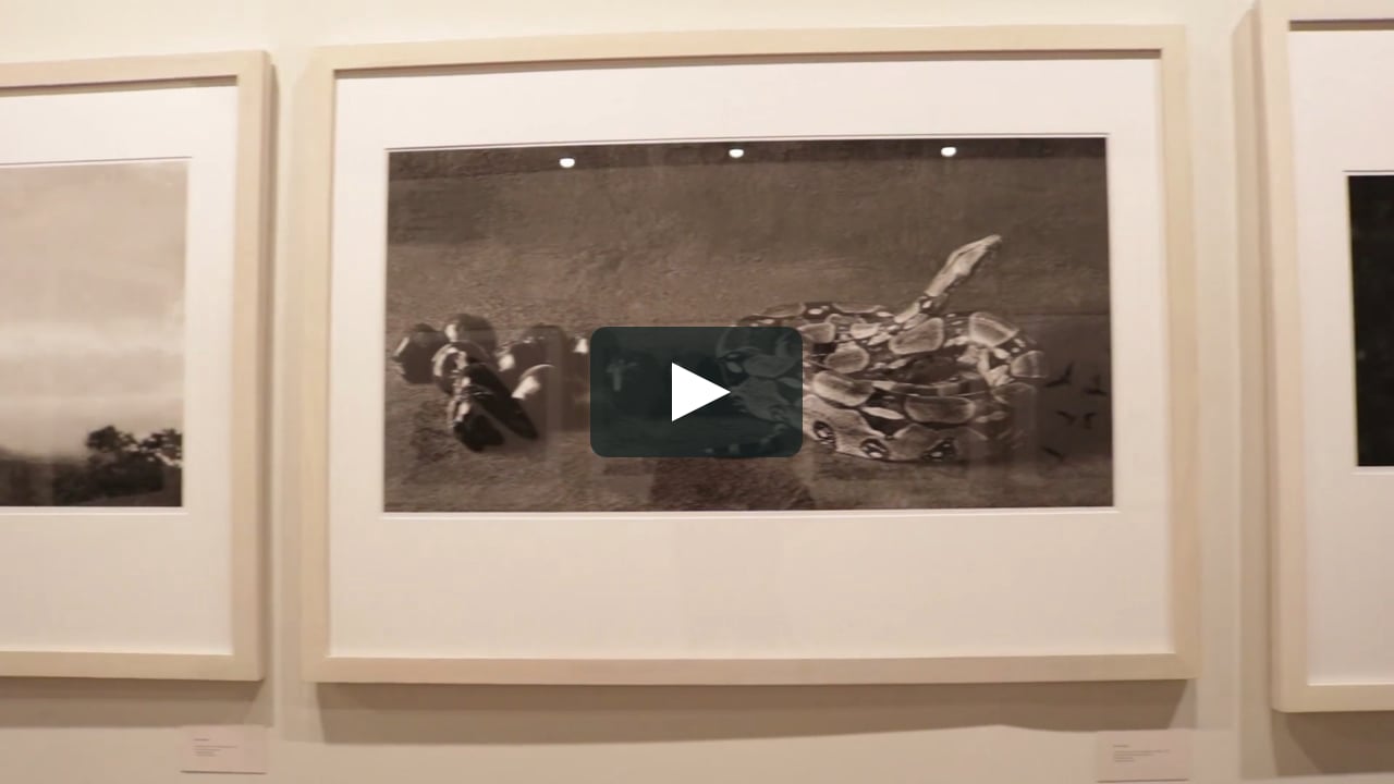 Destination Weissman, : Flor Garduño: Trilogy at the Mishkin Gallery  on Vimeo