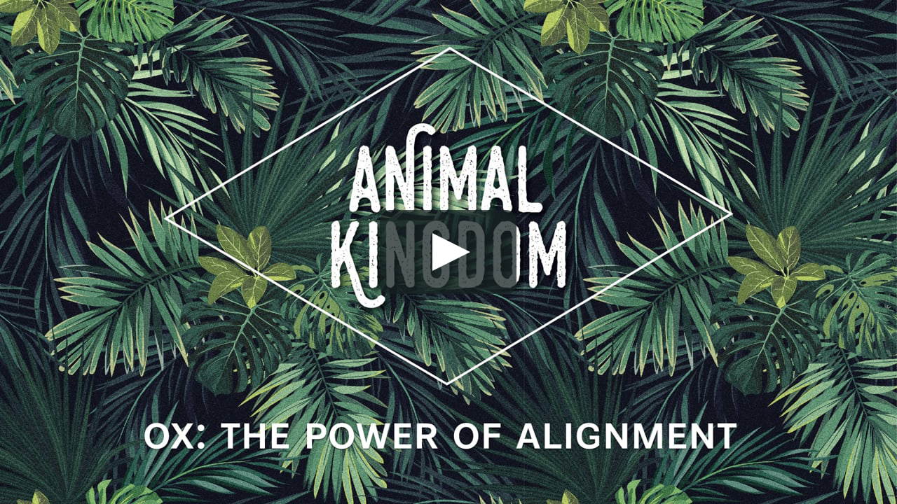 20180506 Sermon- Animal Kingdom: Ox on Vimeo