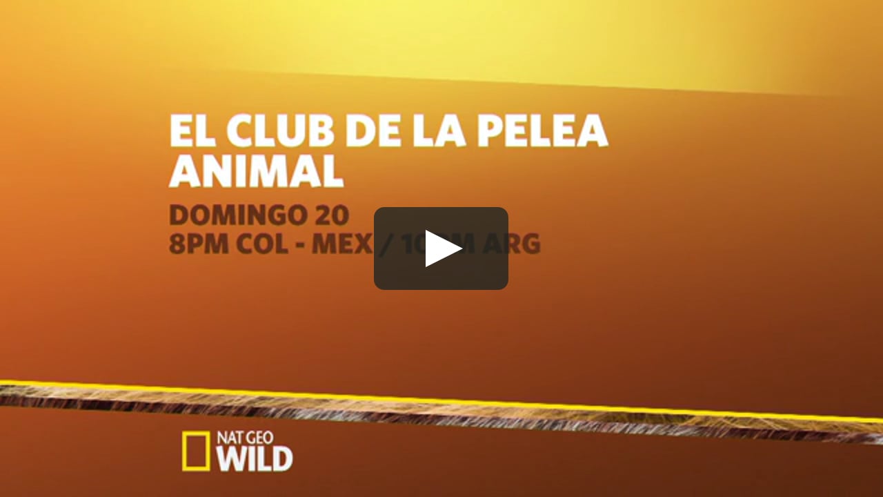 EL CLUB DE LA PELEA ANIMAL  on Vimeo