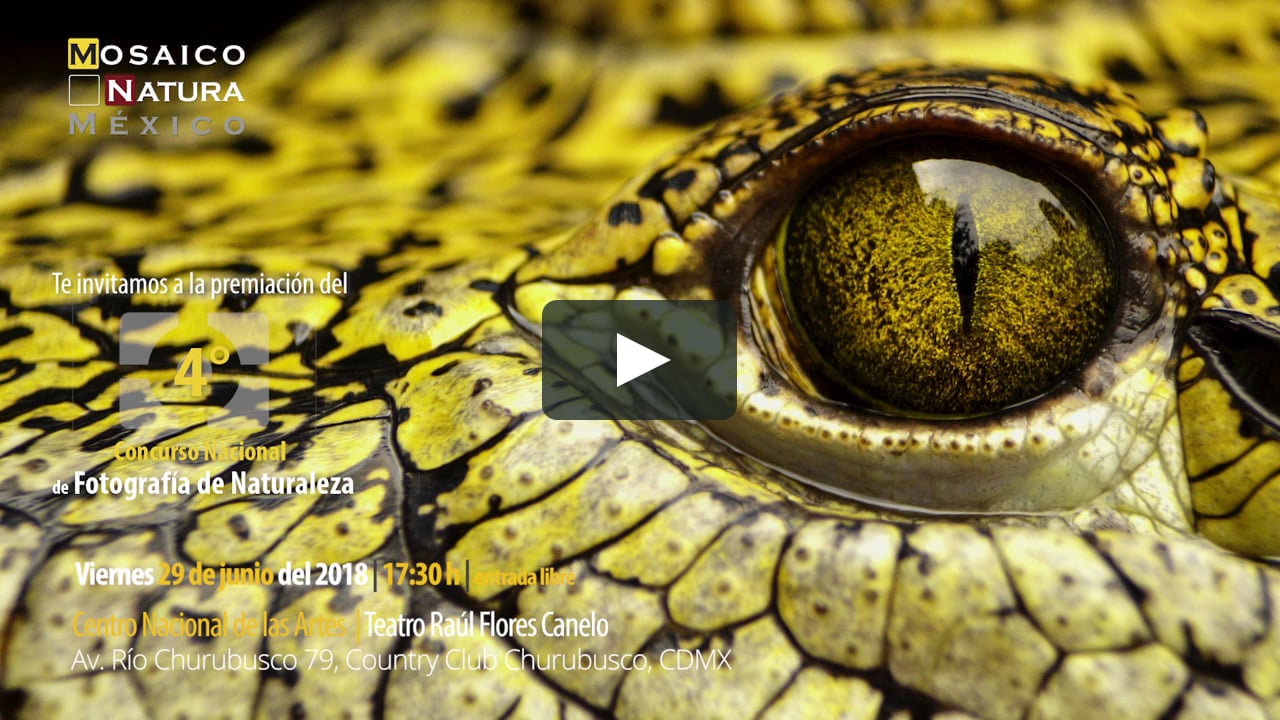 Invitación Mosaico Natura 2018 on Vimeo