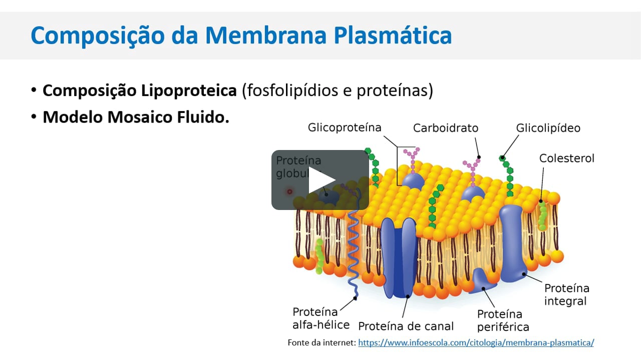 Membrana Plasmática on Vimeo