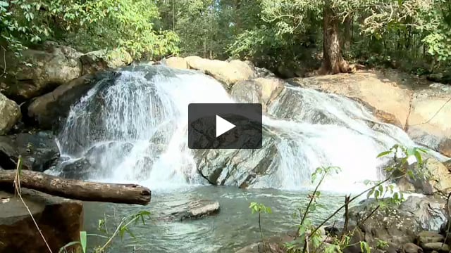 "Not even this handful of soil"
