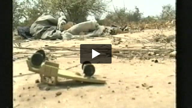 The Bushmen on BBC News
