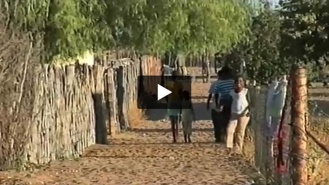 The Bushmen: A Special Report