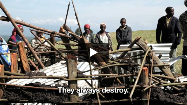 Brutal Evictions