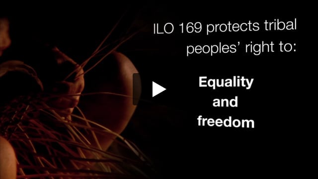ILO 169: the international law