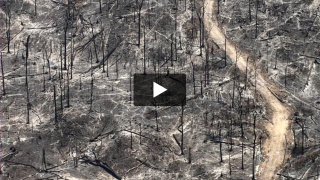 Tribes from the air