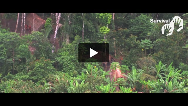 Uncontacted tribes