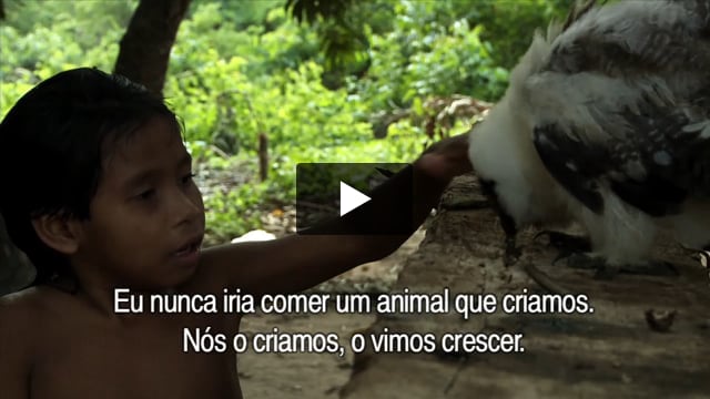 Awá e os animais