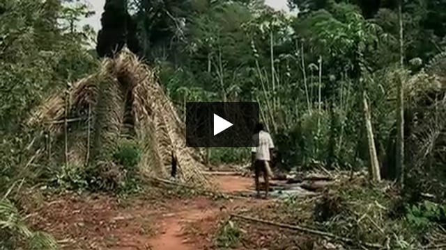 La última danza de los akuntsu