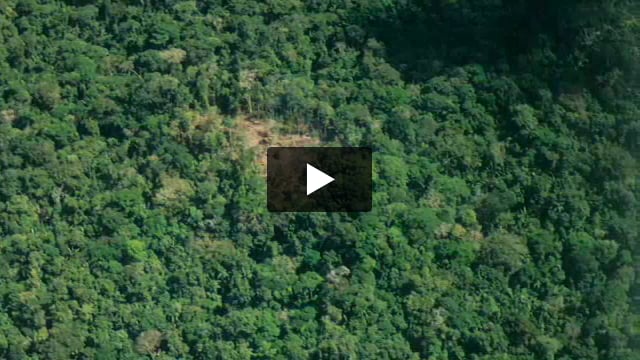 Contacto y muerte en el Amazonas