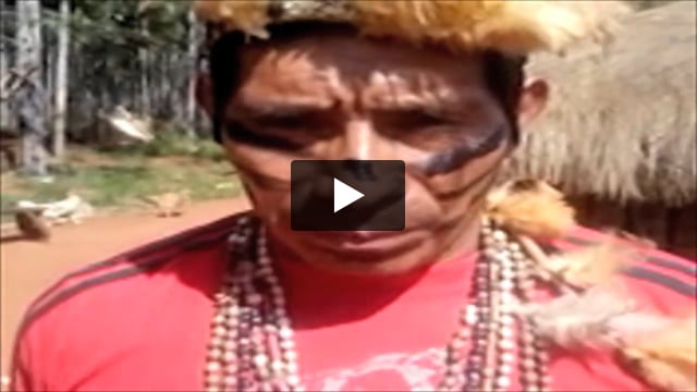 Tribal Voice – Lide Guarani