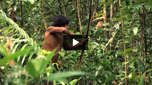 Un étranger dans la forêt