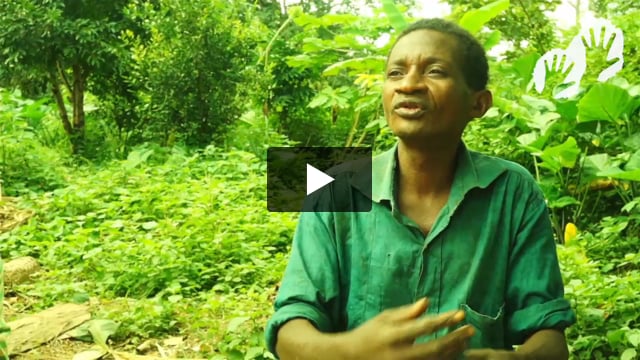 Les Baka sont victimes d'abus au nom de la protection de la nature