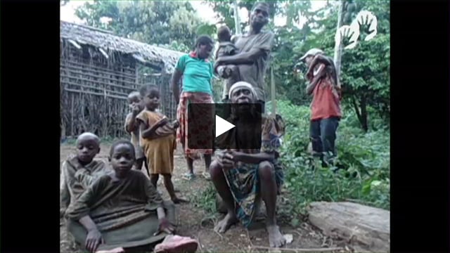 Des Baka appellent le WWF à cesser de financer les brigades anti-braconnage