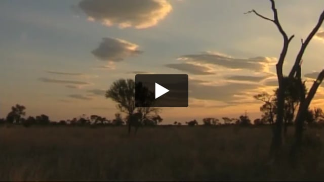 Von der Kalahari in den Gerichtssaal