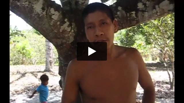 Eine Video-Botschaft der Awá