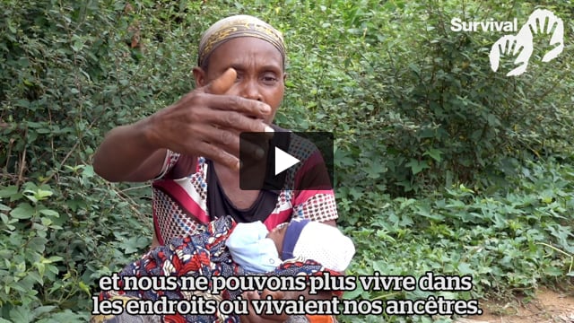 Suzanne explique comment les Baka sont exclus des forêts dont ils dépendent pour survivre