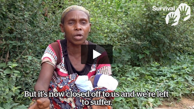 Suzanne explains how Baka people are being excluded from the forests they rely on to survive