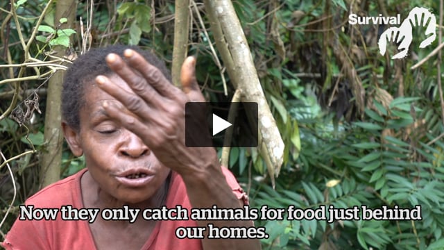 Paulette describes abuses against Baka people committed by park rangers backed by WWF