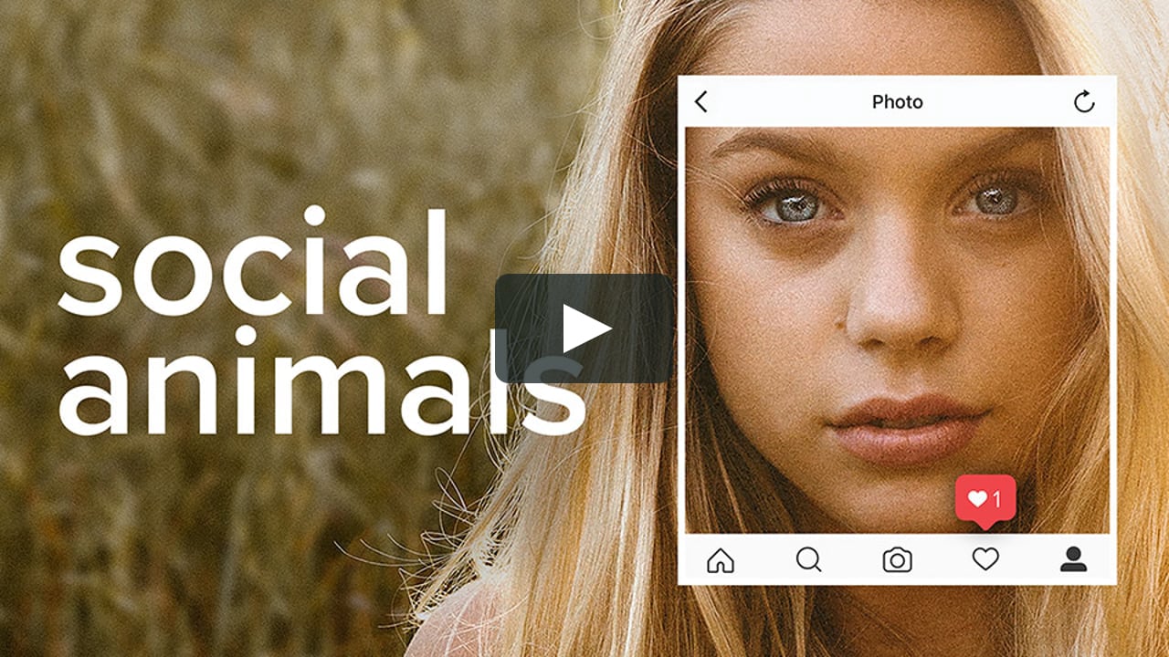 Watch Social Animals Online | Vimeo On Demand on Vimeo