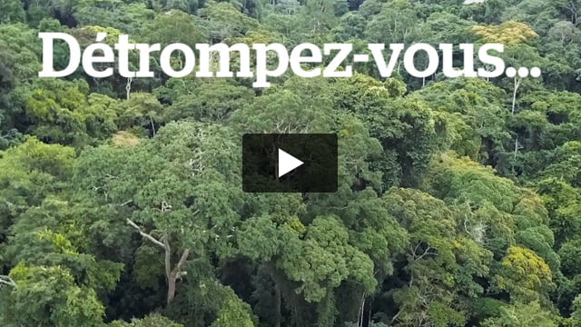 WTF WWF Demandez au WWF d’arrêter de soutenir Messok Dja