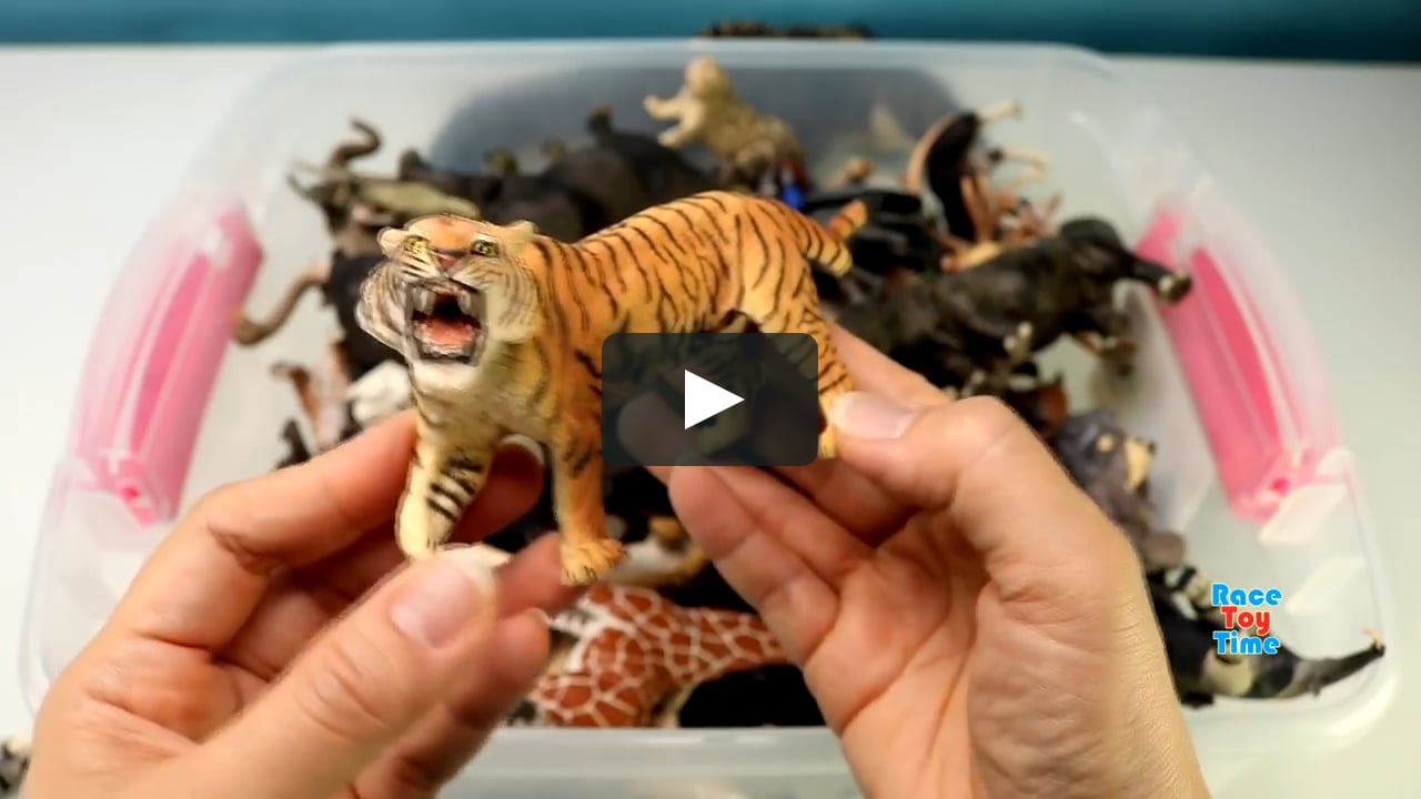 Huge Toy Zoo Wild Animals Collection - Learn Animal Names For Kids [720p]  on Vimeo
