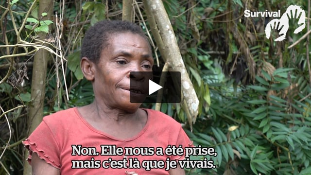 Paulette décrit les abus commis contre des Baka par des gardes forestiers soutenus par le WWF