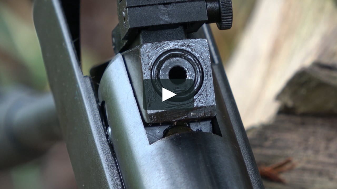 REVIEW: Webley VMX DR Air Rifle - BARGAIN Gas Ram Airgun - Synthetic on