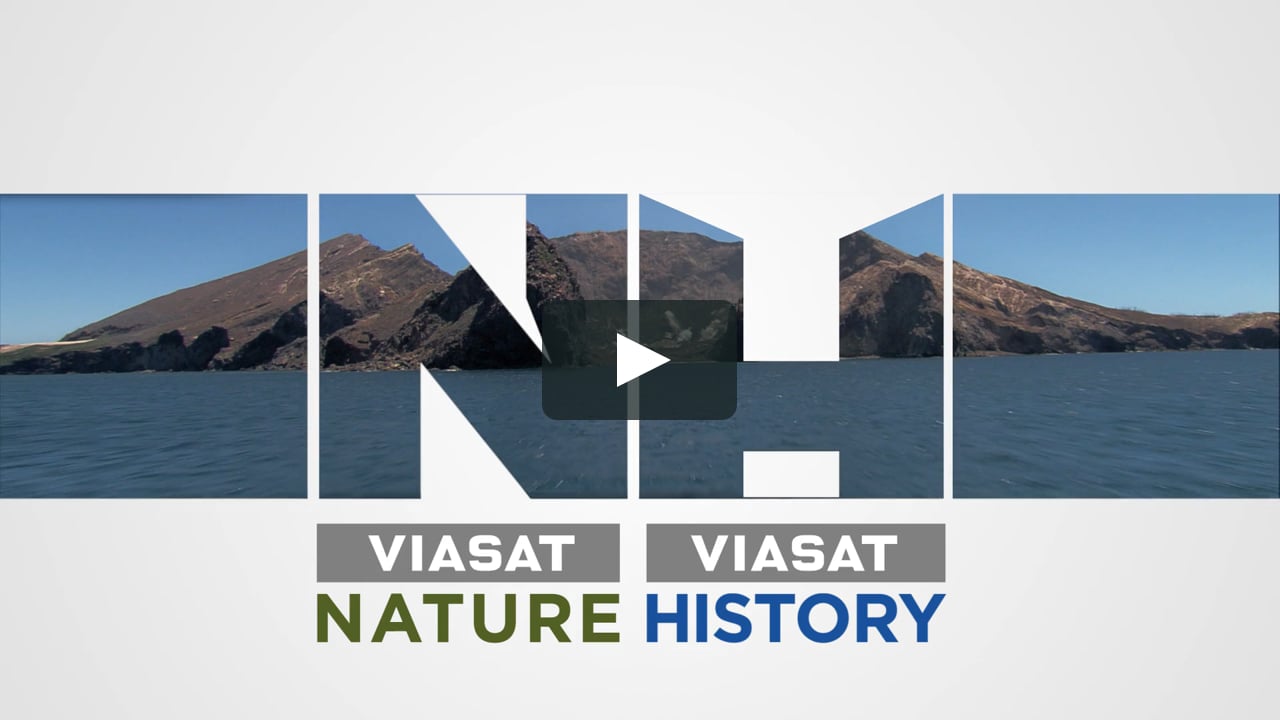 Volcanoes: Destruction & Creation | VIASAT Nature & History | Promo | HD | CEE on Vimeo