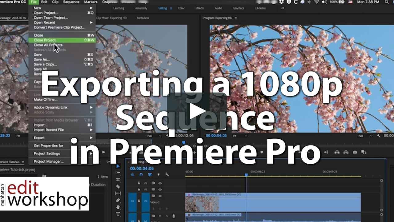 Exporting a 1080p Sequence in Premiere Pro on Vimeo