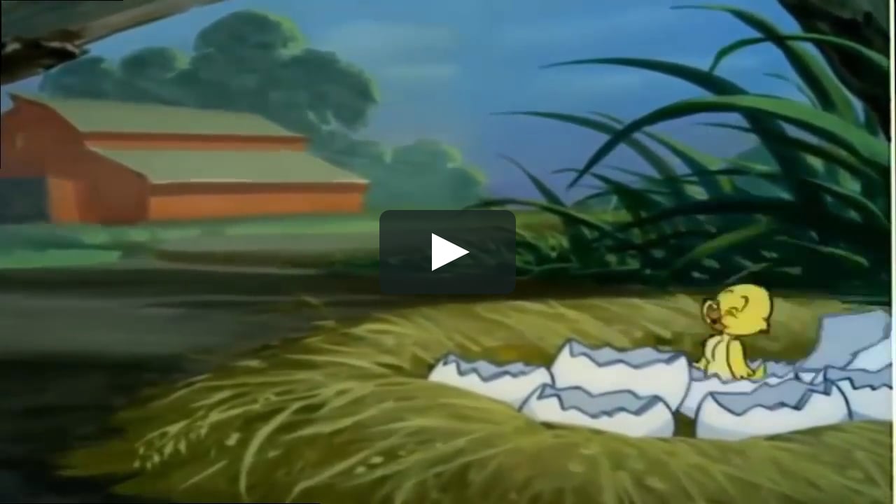 Tom and Jerry - Funny Duck - Cartoons For Kids on Vimeo