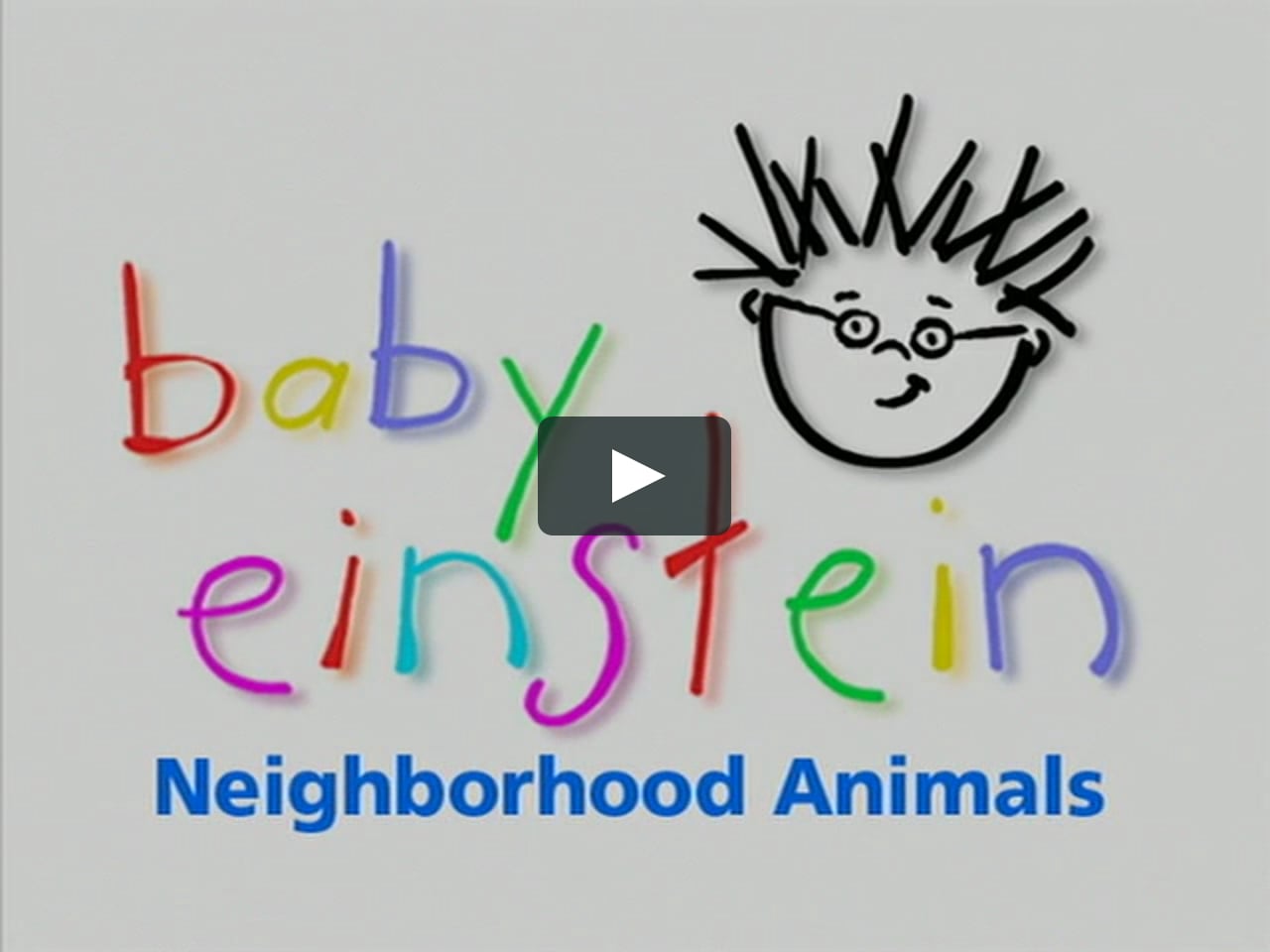 Animais Da Vizinhanca On Vimeo Animais Da Vizinhanca On Vimeo