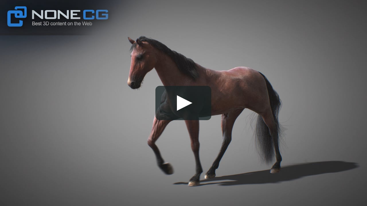 3d Horse Walk On Vimeo 3d Horse Walk On Vimeo